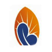 Berhan Insurance S.C logo