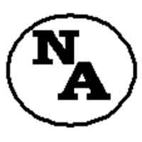 NA Business Ventures logo